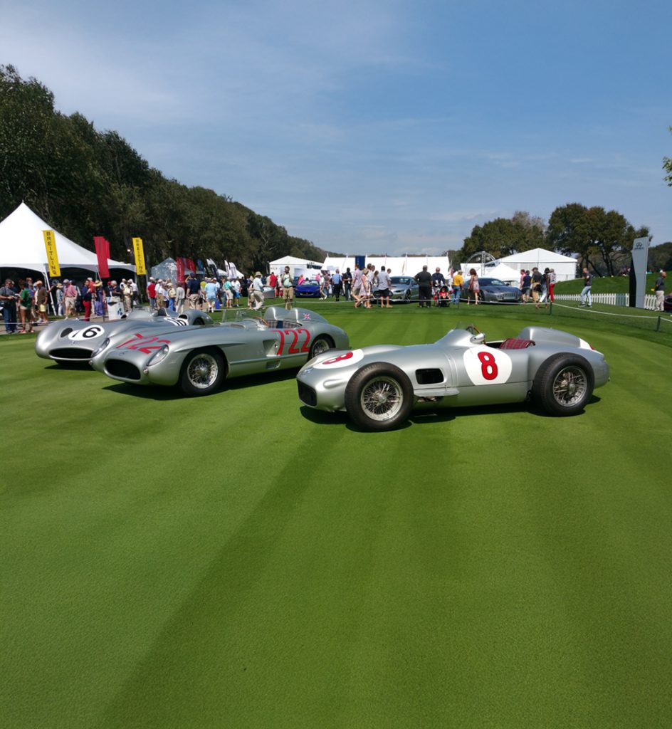 Cat Event and Marketing Logistics