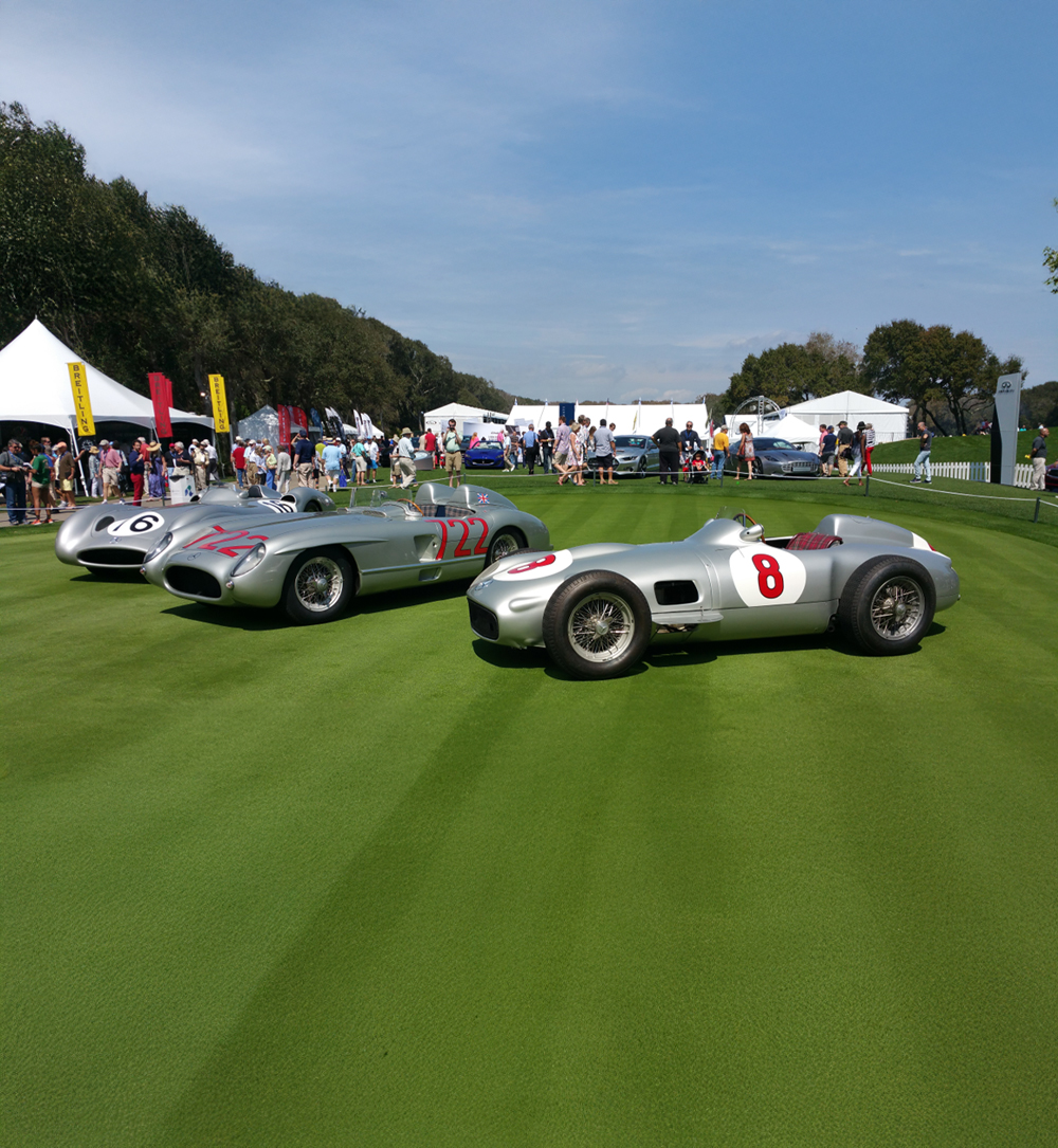 Cat Event and Marketing Logistics